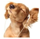 New Features and Desktop Housekeeping