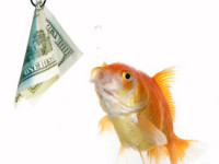 10 Things to Enhance and Monetize Your Stream